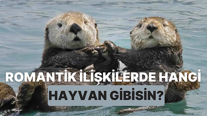 Romantik İlişkilerde Hangi Hayvan Gibisin?