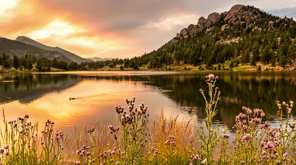 Этим летом... вам крупно повезет!