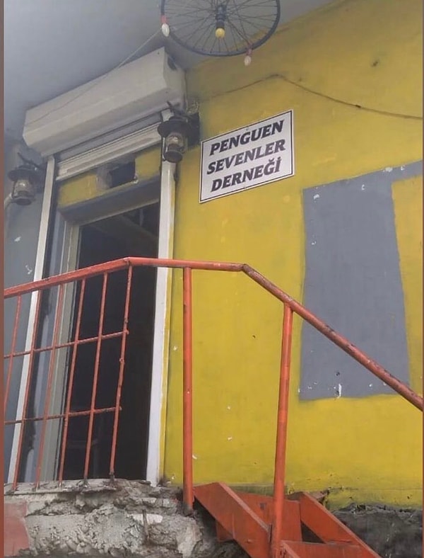 Niye sevmeyelim ki?