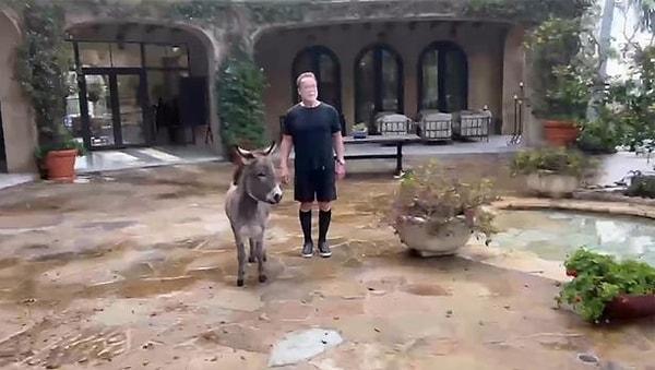 Arnold lüsk malikanesinden sürekli hayvanları ile beraber videolarını paylaşıyor.