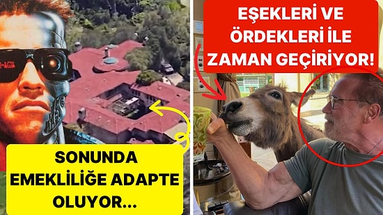 Arnold Schwarzenegger'in İçerisinde Hayvanların Özgürce Dolaştığı Devasa Konağı Görenleri Şaşırtıyor!