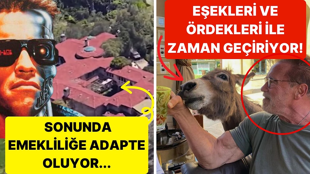 Arnold Schwarzenegger'in İçerisinde Hayvanların Özgürce Dolaştığı Devasa Konağı Görenleri Şaşırtıyor!