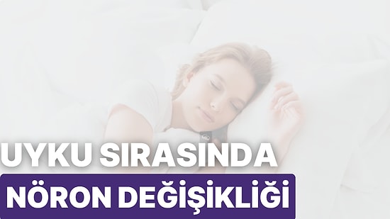 Uyku Sırasında Nöronlarda Yapısal Değişiklikler Meydana Gelir mi?