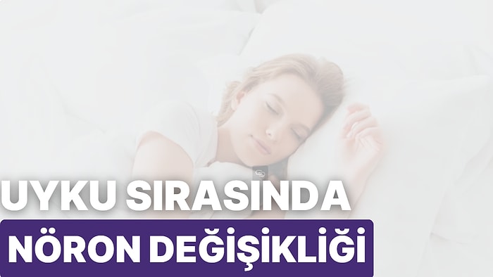 Uyku Sırasında Nöronlarda Yapısal Değişiklikler Meydana Gelir mi?