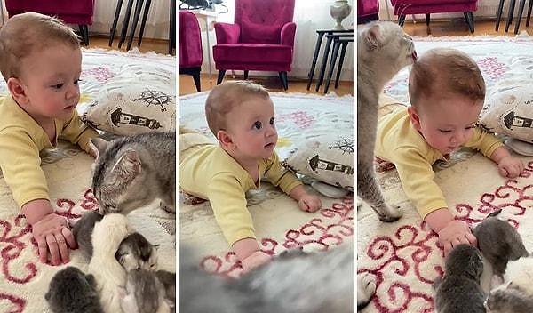 7- TikTok'ta paylaşılan videoda, 'Benim bebeği de kendi bebeği sanması' sözleriyle paylaşılan tatlı video binlerce beğeni aldı.