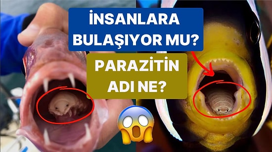 Dili Yerinden Çıkararak Kendisi Yerleşiyor: Kan Donduran Parazit Türüne Dikkat!