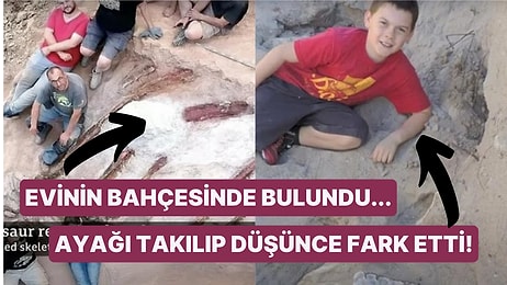 Nasıl Bulunduklarını Öğrendiğinizde "Bu Kadar Tesadüf Olamaz!" Diye Şaşıracağınız En Eski 10 Fantastik Fosil