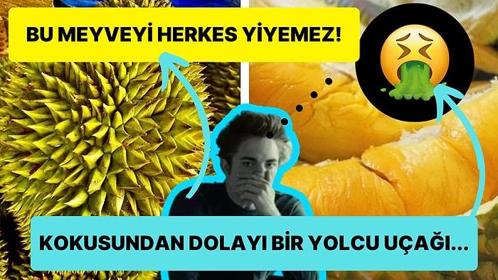 Dünyanın En Kötü Kokan Meyvesi Durian Hakkında Ağzınızı Açık Bırakacak 15 Enteresan Bilgi