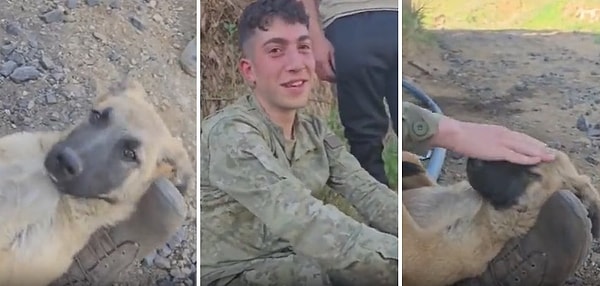 Askerin kucağında sallanan köpek halinden gayet memnun gözükürken bir süre sonra ise gözlerini kapattı.