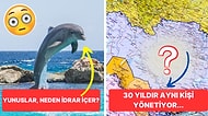 Muhtemelen Daha Önce Hiç Duymadığınız Sizi Şaşkınlığa Boğacak Birbirinden Enteresan 27 Gerçek