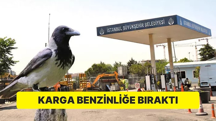 Karga İnsan Parmaklarını Taşıdı: Cinayet İhtimali Araştırılıyor