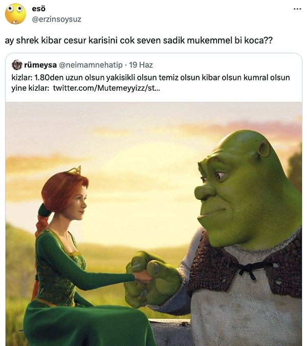 12. Shrek gayet ideal bir eş.