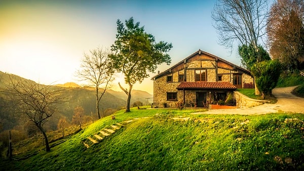 2. В каком доме вы бы хотели жить?