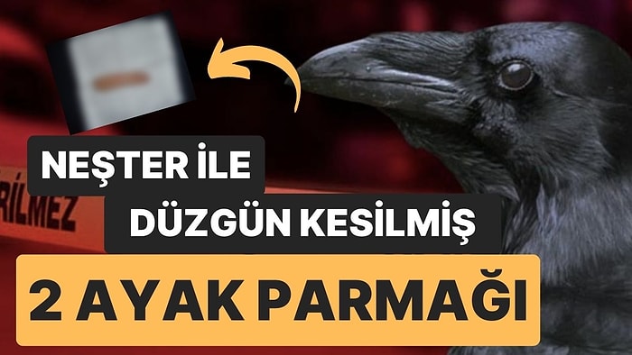 Kargaların Bulduğu ‘Kesik Parmaklarda’ Otopsi Raporu Açıklandı