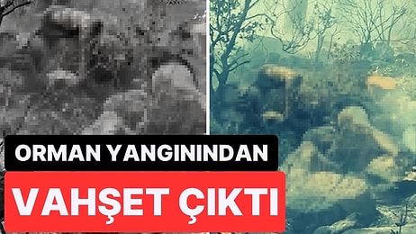 Marmaris’teki Orman Yangınından Vahşet Çıktı! Cesedi Ateşe Verirken Ormanı Yakmışlar!