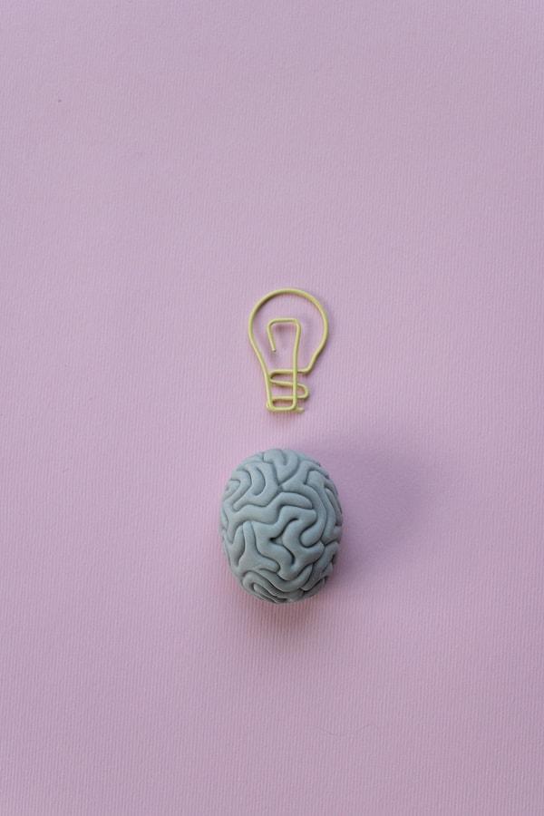 12. Beyin, vücudun en karmaşık ve önemli organlarından biridir.