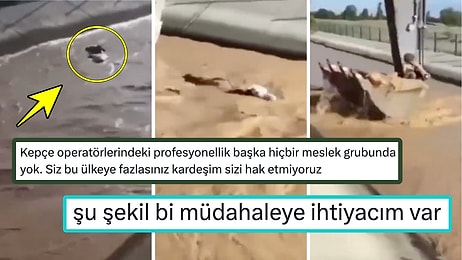 Akıntıya Kapılan İneği Tek Hamlede Nazikçe Kurtaran Kepçe Operatörü