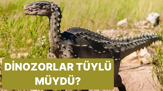 Dinozorların Tüyleri Var mıydı?