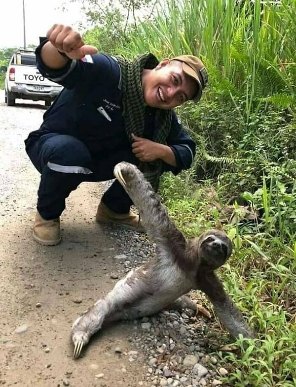 17. «Надеюсь, что это фото немного скрасит ваш день»