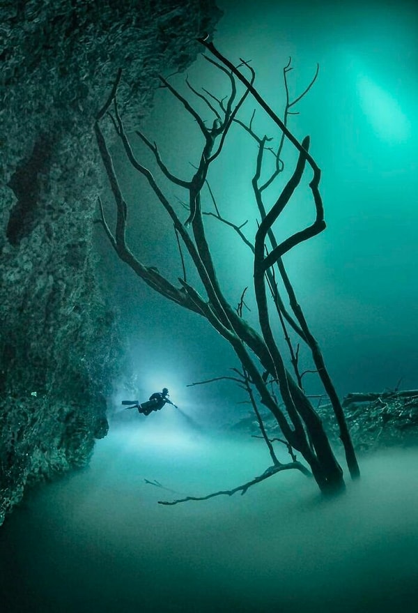 18. Дайвинг в сеноте во всей красе