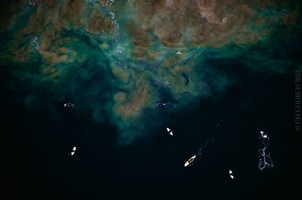 27. Серферы над бурлящим илом и чернильными глубинами. Морро Бэй, Калифорния (США)