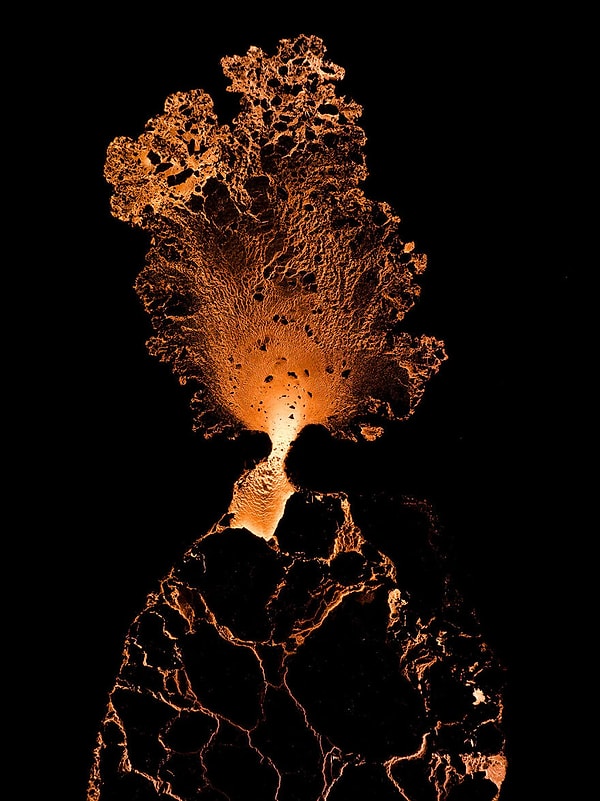 41. Финалист категории «Искусство природы» — «Древо жизни» Карима Ильи