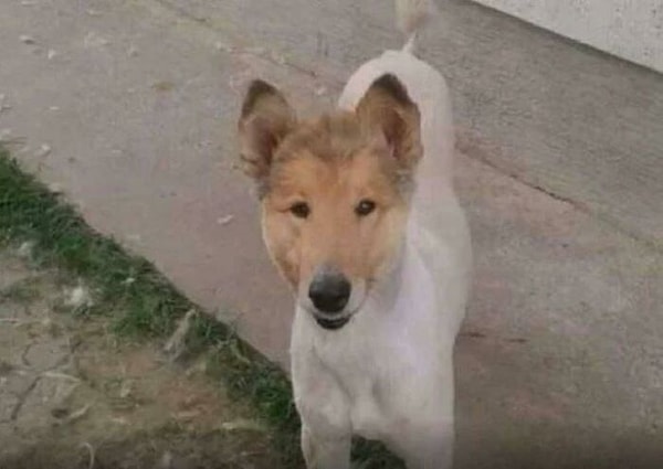 1. Ричард Р-р-р-р-р