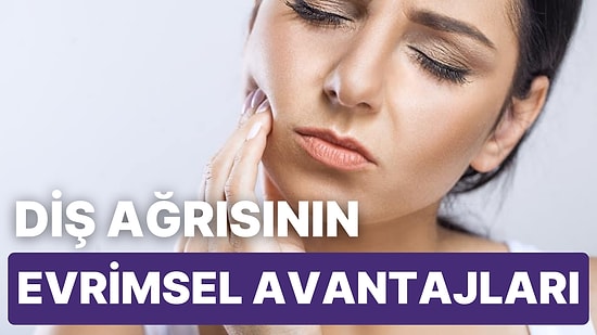 Dişlerle İlgili Ağrının Evrimsel Avantajları Nedir?