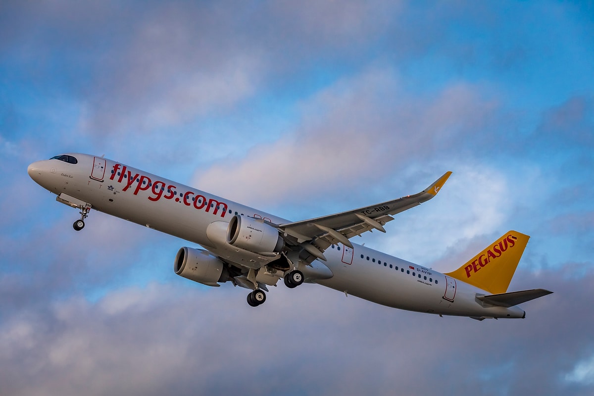 Пегасус авиакомпания отзывы 2024. Pegasus Airlines. Pegasus Airlines отзывы. Авиакомпания Зиро вип.