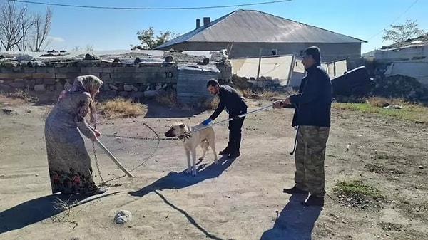 Geçtiğimiz yıl Bitlis’te, köpek tarafından ısırılan bir çocuk kuduz sebebiyle hayatını kaybetmişti.
