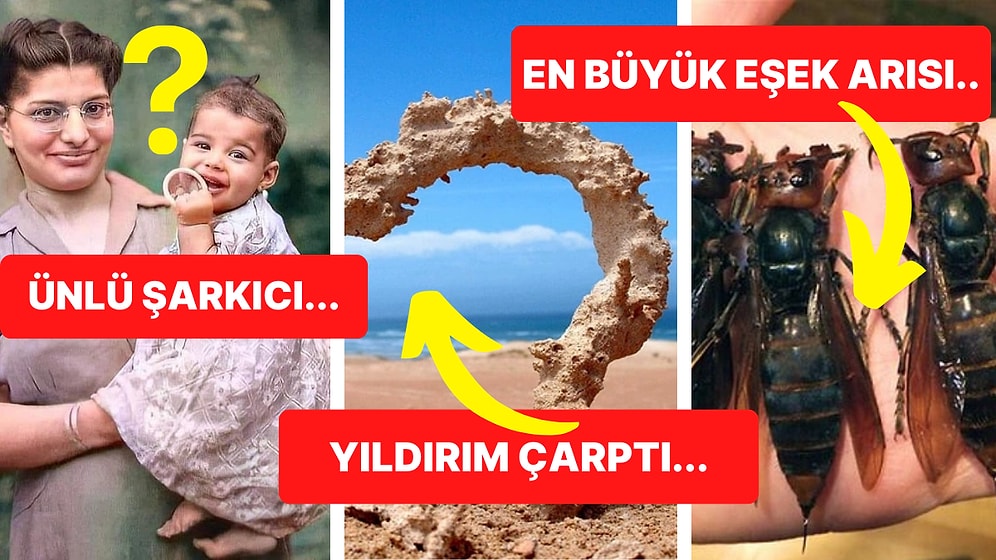 Tarihten Günümüze Hayatı Sorgulamanıza Sebep Olmaya Aday Birbirinden İlginç 17 Görsel