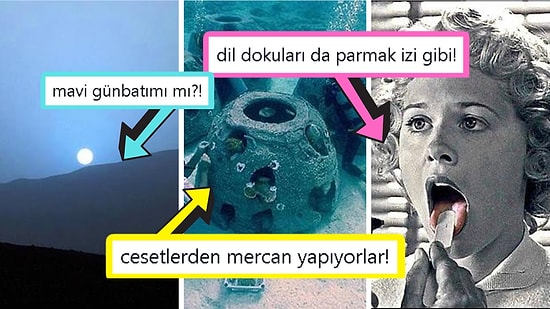 Öğrenince Size Küçük Çaplı Şok Geçirtecek Daha Önce Hiç Duymadığınız 15 İlginç Bilgi