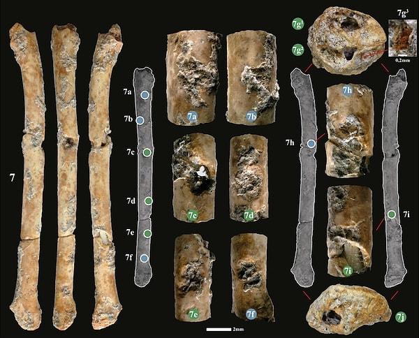 2. İsrail'de kuş kemiğinden yapılmış 12 bin yıllık flütler bulundu.