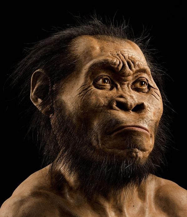 9. Akrabamız Homo Naledi, ölü gömme adetine bizden çok önce başlamış!