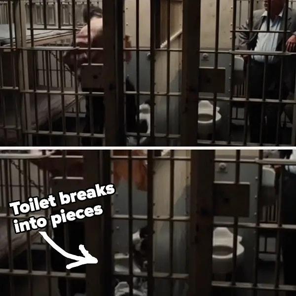4. Joaquin Phoenix, The Master'daki hapishane hücresi sahnesi için esaret altındaki vahşi hayvanları inceledi. Tuvaleti parçalamak senaryoda yoktu; çılgına dönmesi onun sadece bir parçasıydı. Phoenix: "O şeyi bozmak niyetinde değildim. Bunun mümkün olduğunu bilmiyordum." dedi.