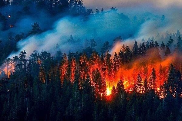 Olur da, herhangi bir ormanlık alanda yangın çıktığını fark ederseniz 112 Acil Çağrı Merkezi'ni aramayı unutmayın!
