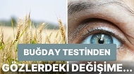Tarihte Hamileliği Öğrenmek İçin Kullanılan Birbirinden İlginç Doğal Yöntemler