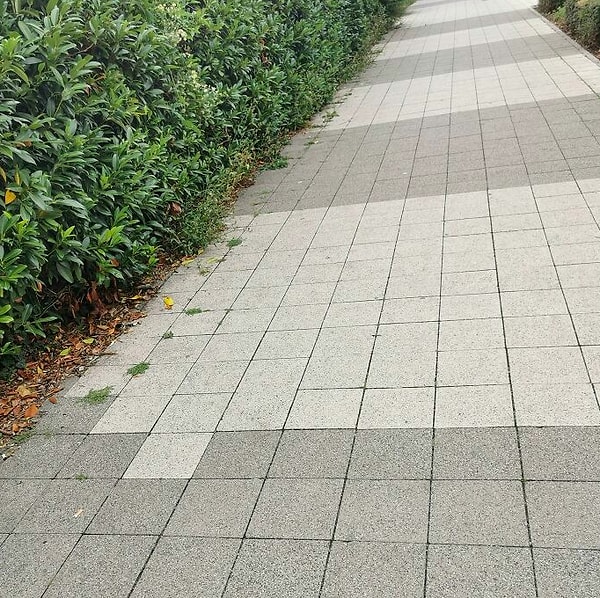 15. А ходить по такому тротуару?