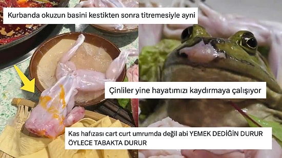 Yemek Tabağında Hareket Eden Derisi Yüzülmüş Kurbağaya Gelen Birbirinden Enteresan Tepkiler