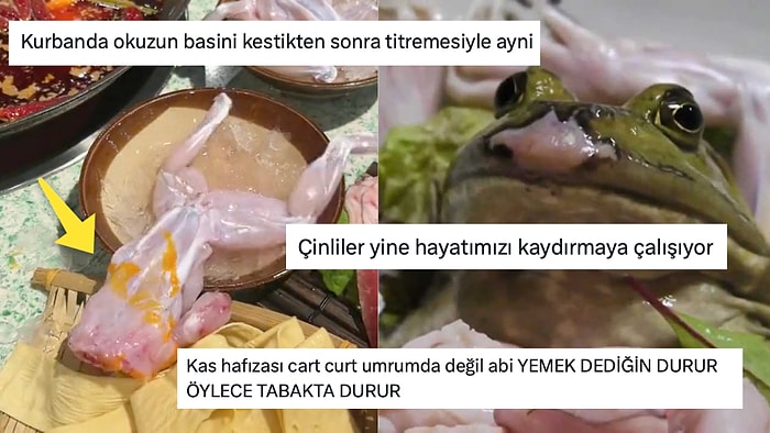 Yemek Tabağında Hareket Eden Derisi Yüzülmüş Kurbağaya Gelen Birbirinden Enteresan Tepkiler