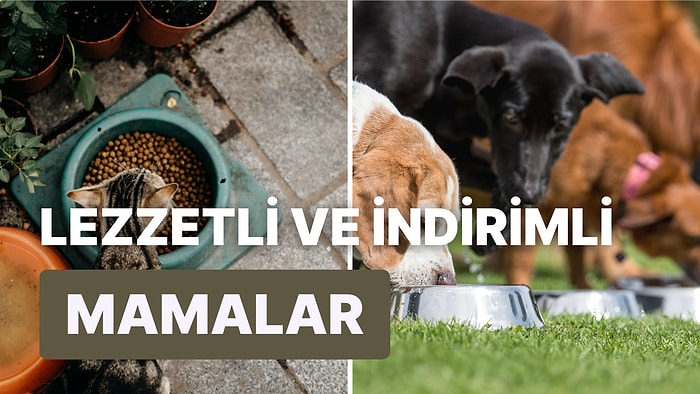 Büyük Amazon İndirimlerinde Kaçırmamanız Gereken İndirimli Kedi ve Köpek Mamaları