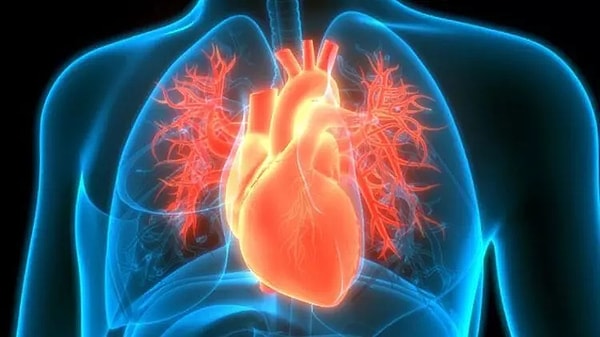 6. Kalp ve damar hastalıkları