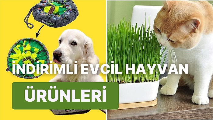 Evcil Hayvanı Olanların Mutlaka Göz Atması Gereken Prime Day Fırsat Listesi