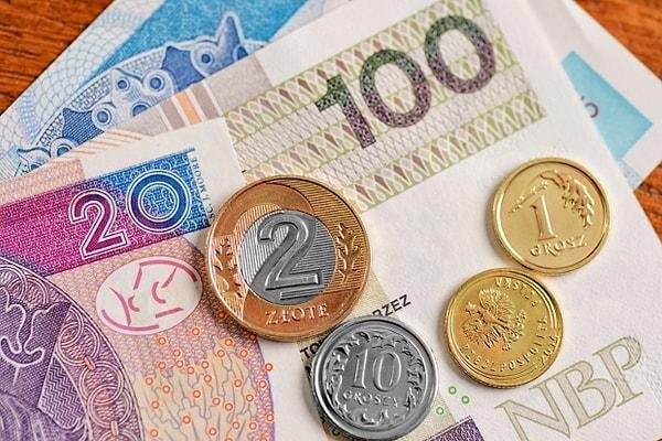 6. 2004'te Polonya'nın AB üyeliği döneminde Zloti, Euro'ya dönüştürülebilir bir para birimi olarak belirlenmiştir.