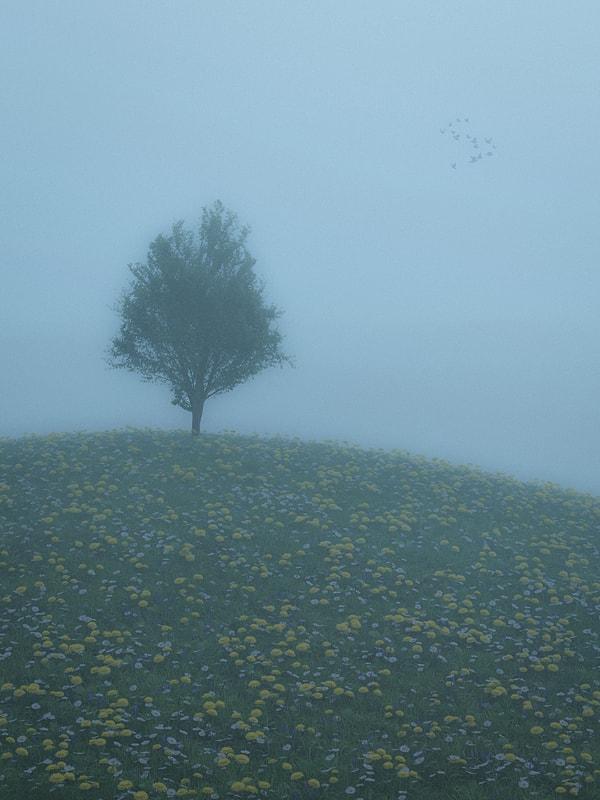 1. Yalnız ağaçların müthiş melankolik bir havası var...