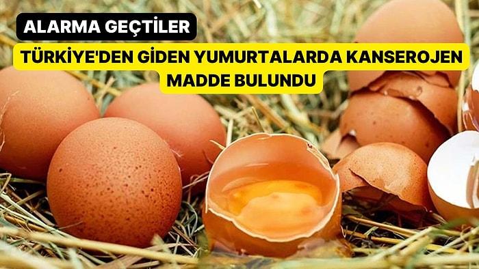 Alarma Geçtiler: Türkiye'den Giden Yumurtalarda Kanserojen Madde Bulundu