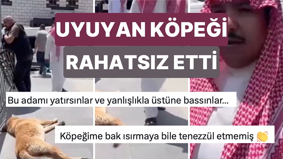 Uzungöl'de Video Çeken Turistin Köpeğin Ayağına Bastığı Video Tepki Çekti