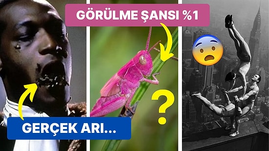 Tarihten Günümüze Hayatı Sorgulamanıza Sebep Olmaya Aday Birbirinden İlginç 17 Görsel