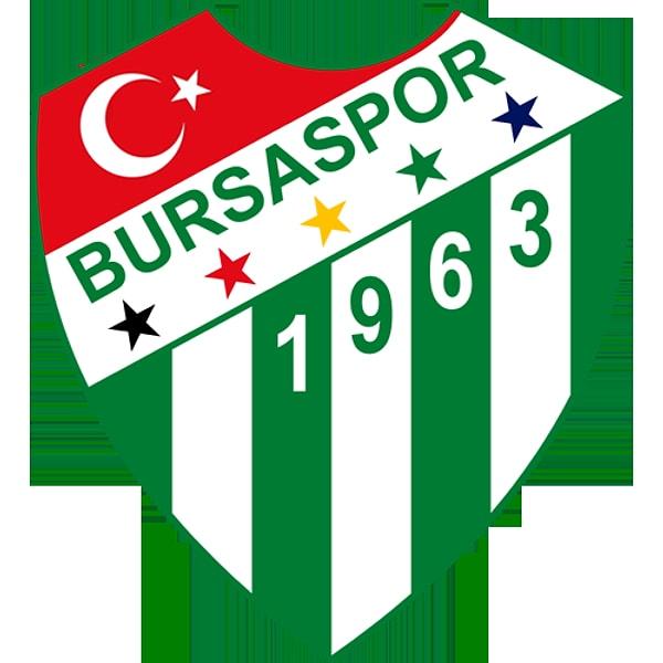 1963 yılında Akınspor, Acar İdman Yurdu, Demirçelikspor, İstiklalspor ve Pınarspor 'un birleşmesiyle Bursa'nın en büyük temsilcisi olarak doğdu Bursaspor. Armasındaki beş yıldız, beş kurucu amatör kulübü temsil ediyordu.