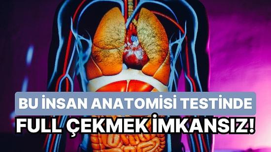 Bu İnsan Anatomisi Testinde Full Çekmek İmkansız Gibi Bir Şey!